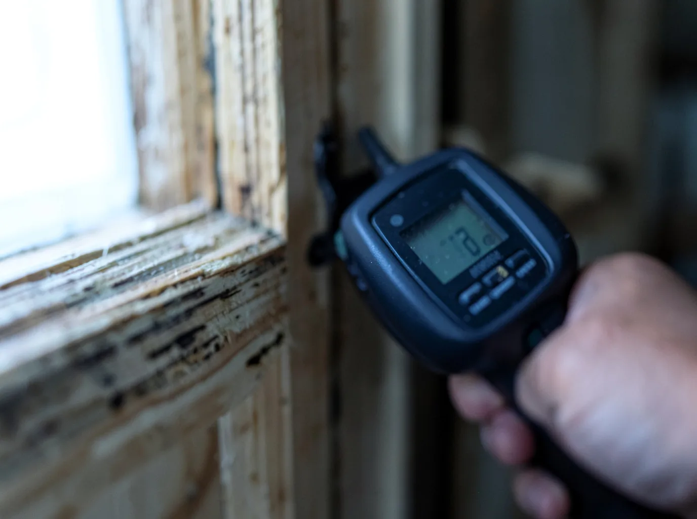 Commercial Water Damage Restoration in Theodosia, MO
